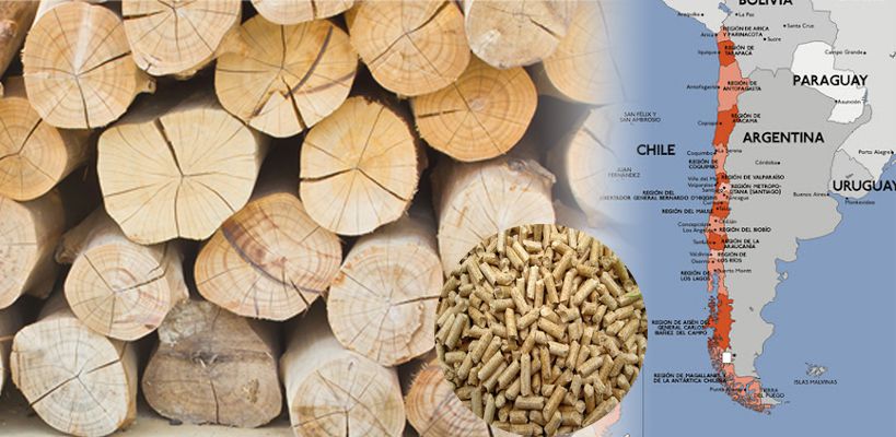 Chile wood pellet market