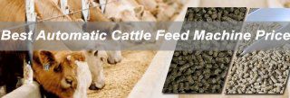 How to Buy Low Cost Small Automatic Cattle Feed Machine Online?