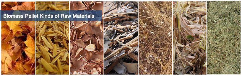 Biomass Raw Materials for Wood Pellet Fuel Making