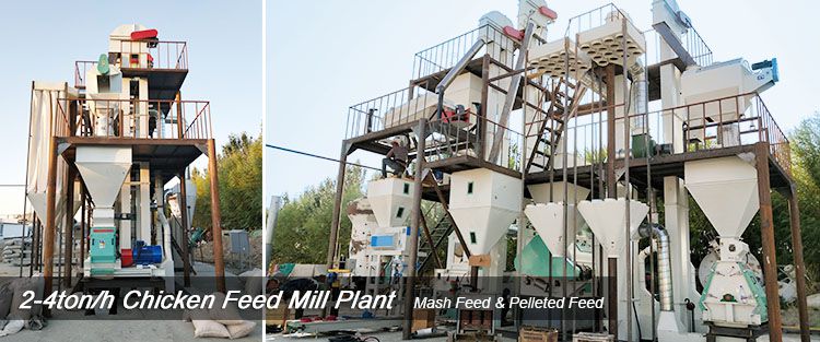 chicken feed pellet mill plant layout design
