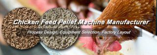 Chicken Feed Pellet Machine for Sales