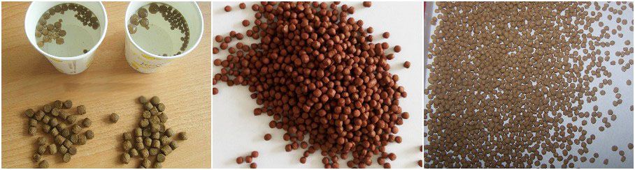 fish feed pellets extruded by fish and pet pellet machine