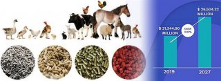 [Market Report] Global Animal Feed Production and Consumption Analysis