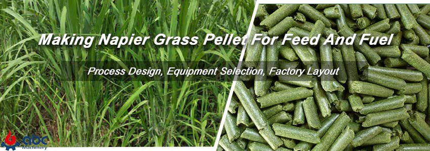 how to turn napier grass into animal feed and biofuel