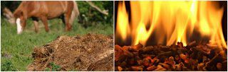 Making Biomass Pellets from Horse Manure & Barn Wastes