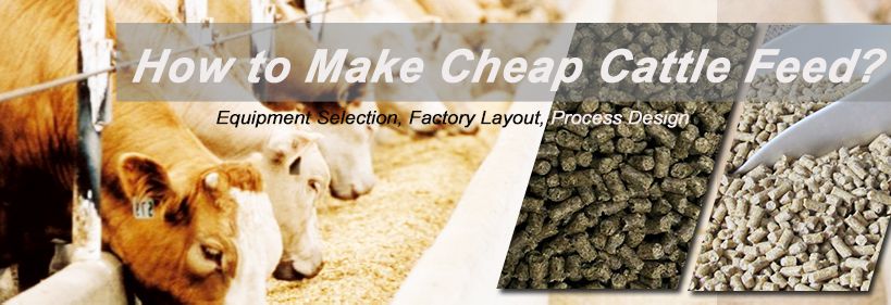 how to make cheap cattle feed on farms