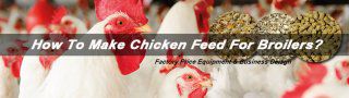 How To Make Chicken Feed For Broilers？