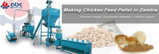 How to Process Low Cost Feed Pellets for Chicken in Zambia?