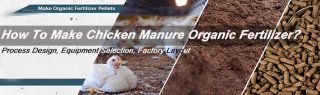 How To Make Chicken Manure Organic Fertilizer?