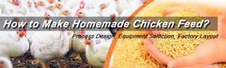 How to Make Homemade Chicken Feed?
