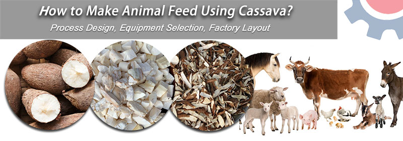 how to make cassava feed for animal