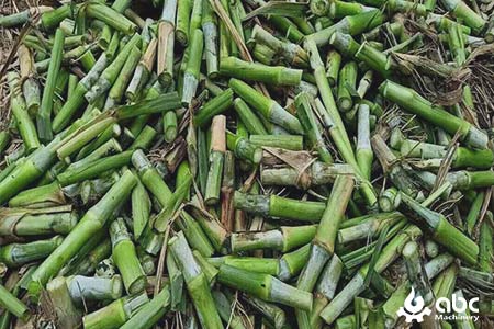 Low-cost raw material for elephant grass