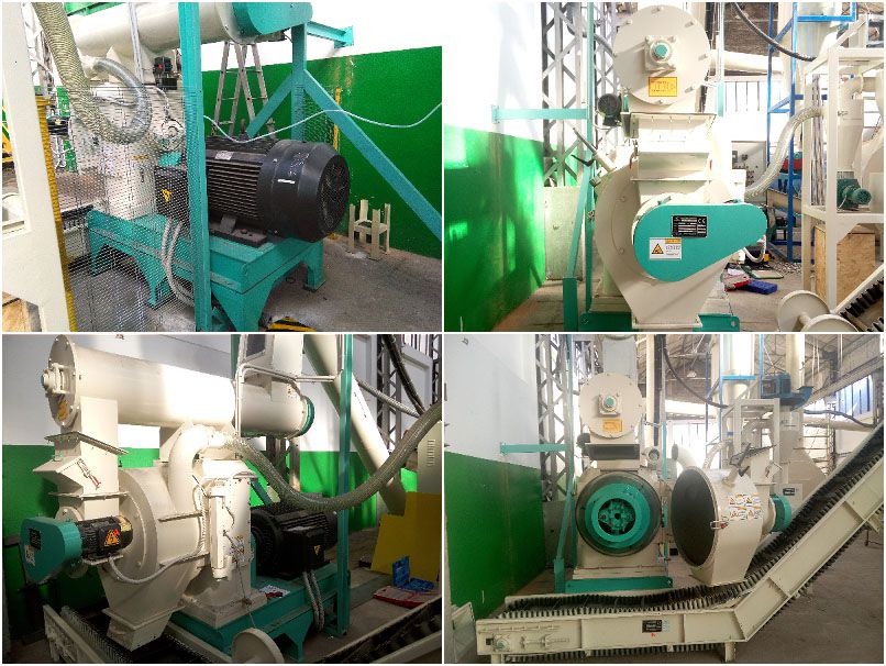 industrial wood pellet machine for full scale biofuel pelletizing business plan