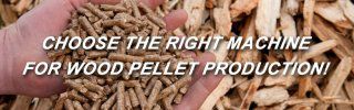 Which machine to choose, flat die or ring die wood pellet maker?