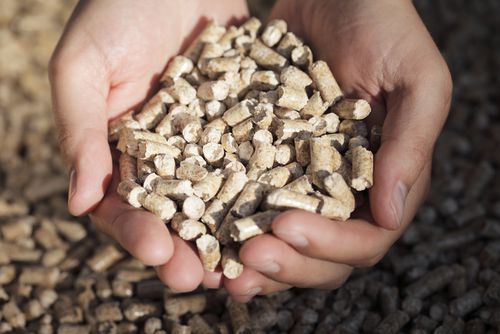 make biomass pellets