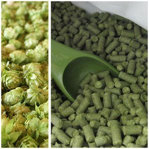 make hops into pellets