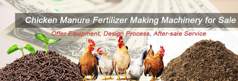 making chicken manure into useful organic fertilzier with low cost