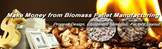 How to Benefit from Starting Biomass Pellet Manufacturing Business?