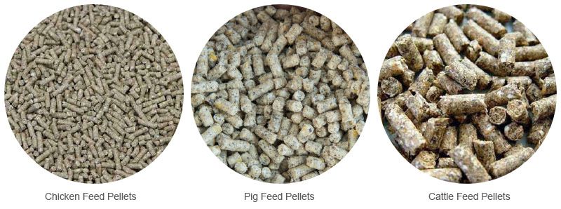 manufactured animal feed pellets for chicken, pig and cattle