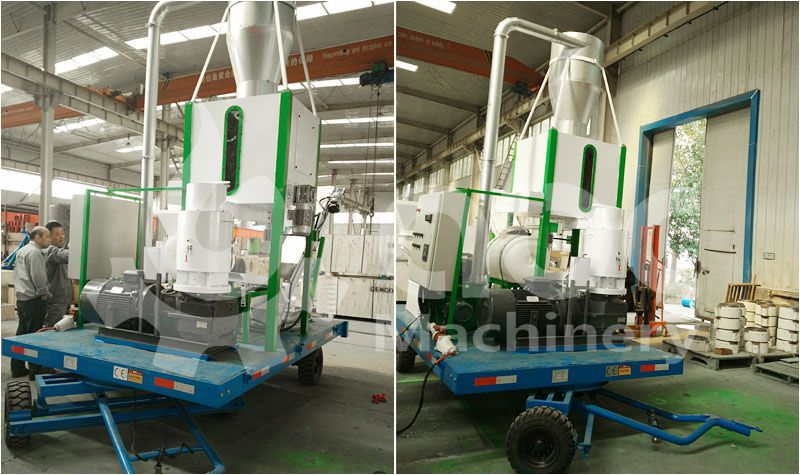 mini wood pelletizing production plant for small facotry and company