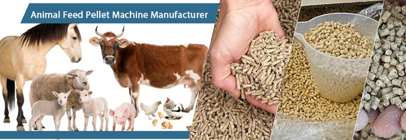 Processed Feed Pellets For Multiple Animals