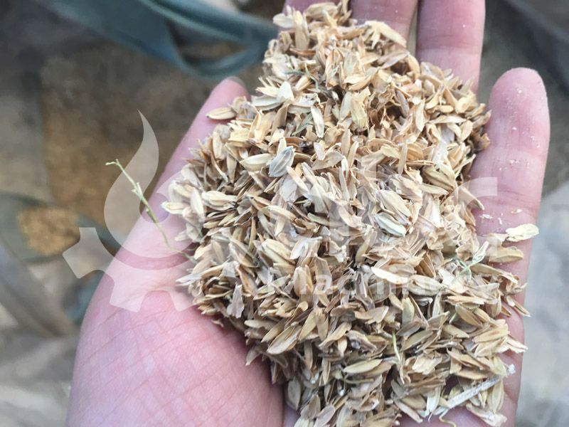 rice husks for biomass pelletizer  test running