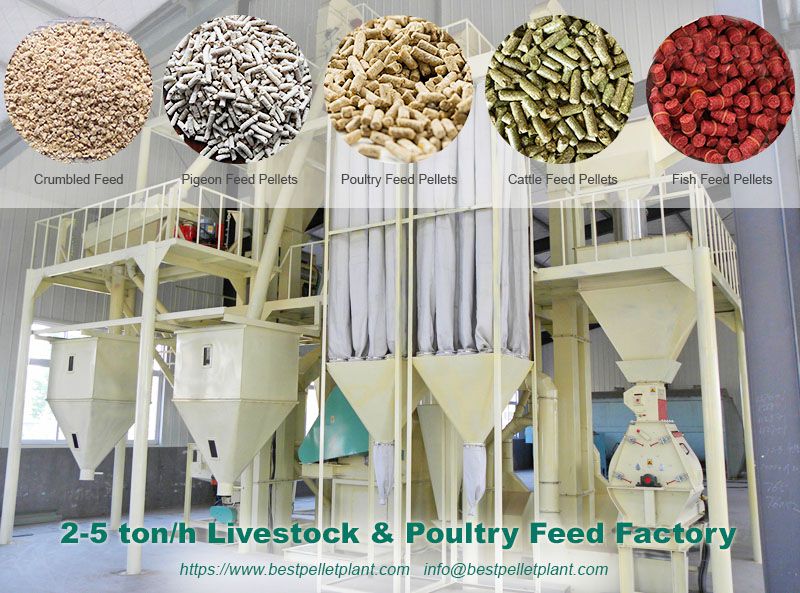 setup low cost poultry feed factory