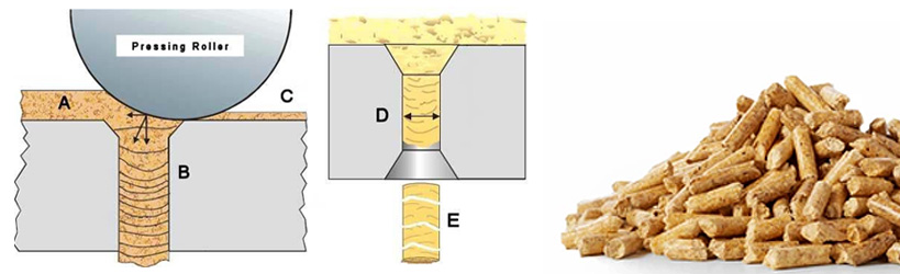 wood pelleting technolgy principle