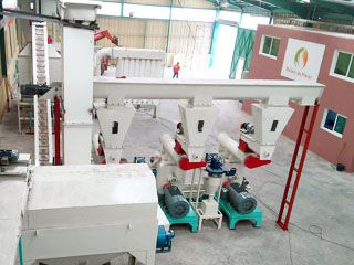 4 TPH Complete Wood Pellet Plant in Morocco