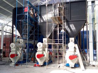 6 Ton per Hour Wood Pelletization Plant in Chile