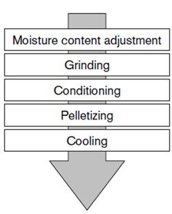 RCG Pelletizing Process