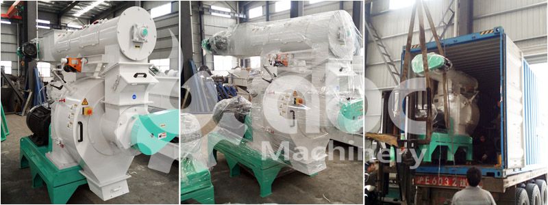 buy from best acacia sawdust pellet mill manufacturer