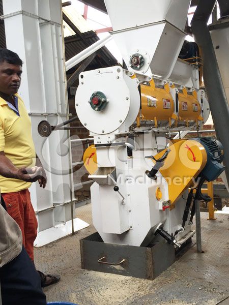 animal feed machinery for extruding high quality fodder pellets