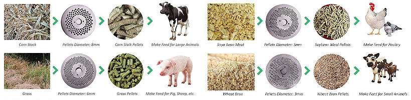 animal feed pellet die selection