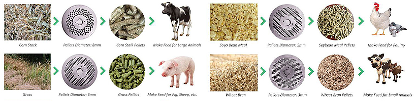 animal feed pellet die selection