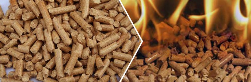 Bagasse Pellet Fuel