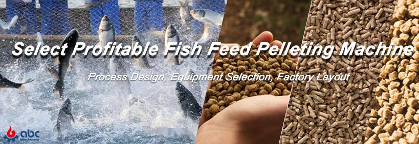 select best fish feed processing machine at lowest price