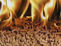 biomass fuel pellet