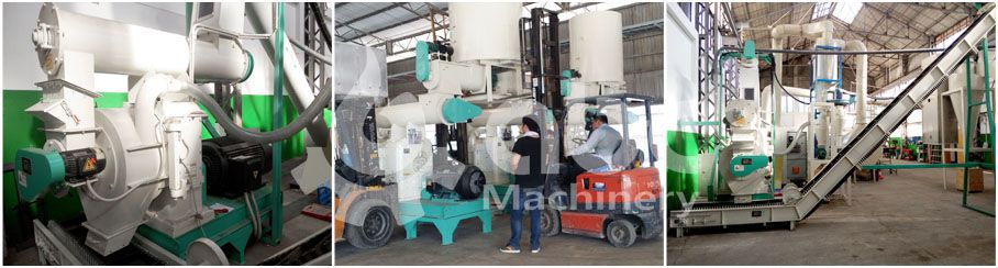 biomass pelletizing system of complete wood pellet mill plant