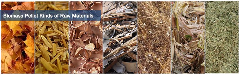 Biomass Raw Materials for Wood Pellet Fuel Making