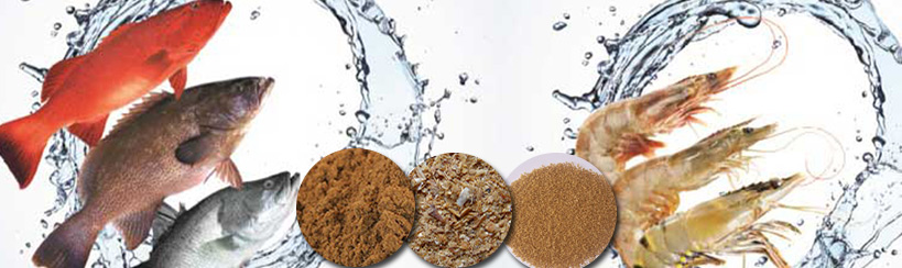 Aqua Feed Mill Guide: Tailored Processing for Aquatic Species