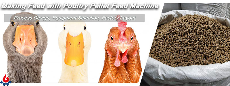 how to make poultry feed pellets with pelletizer machine?