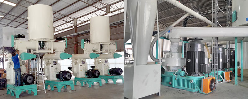 discounted ring die pellet press machine in wood pellet making plant