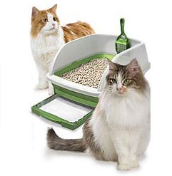 Learn To Process Pellet Litter for Your Cat
