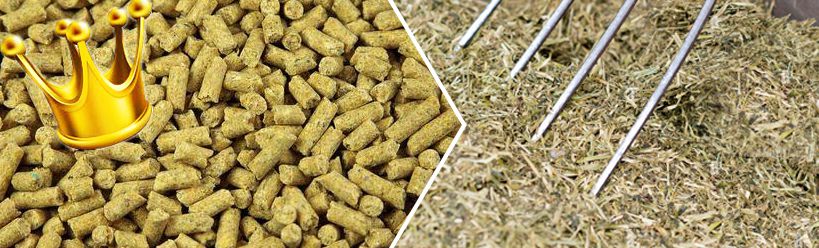 cheap cattle feed pellet making