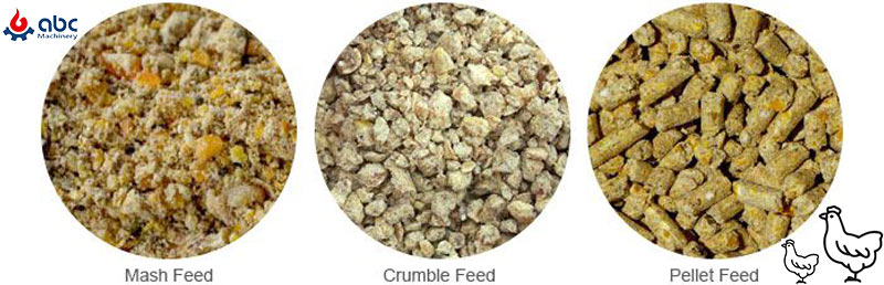 chicken crumble feed chicken mash feed chicken pellet feed