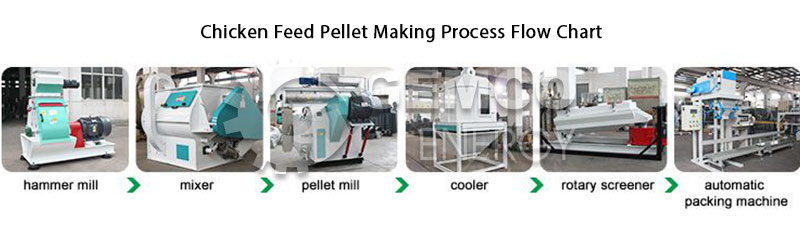 chicken feed making process