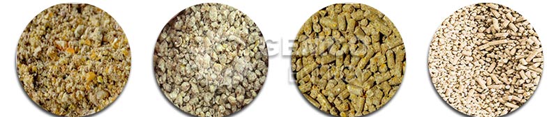 mash crumble pellet chicken feed