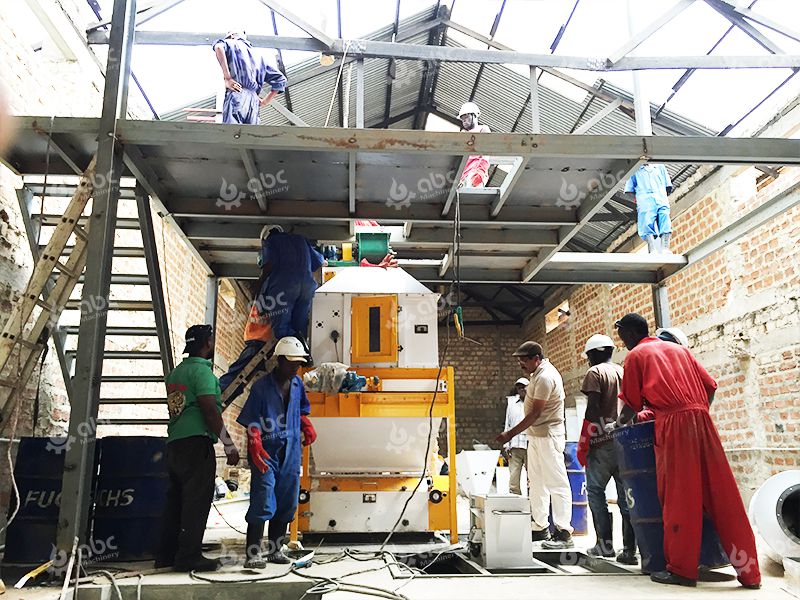 Chicken Poultry Feed Machinery Installation