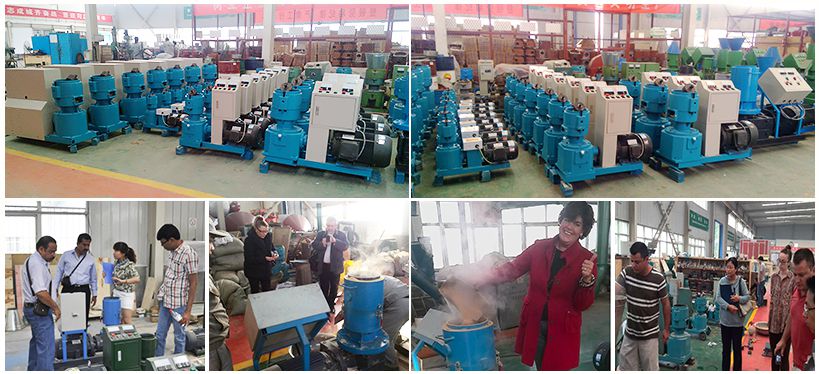 Choosing ABC Machinery for Your Rice Husk Pellet Production